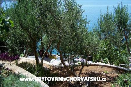 Appartamenti Mediterraneo – foto 11