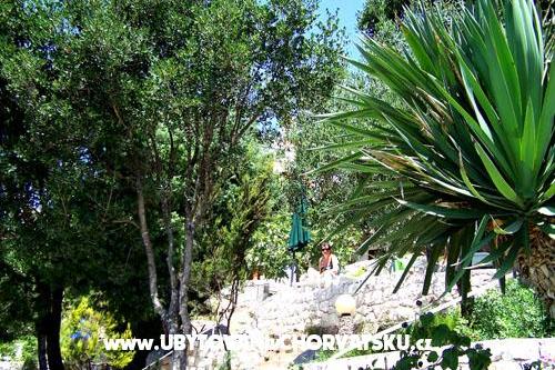 Appartamenti Mediterraneo – foto 13