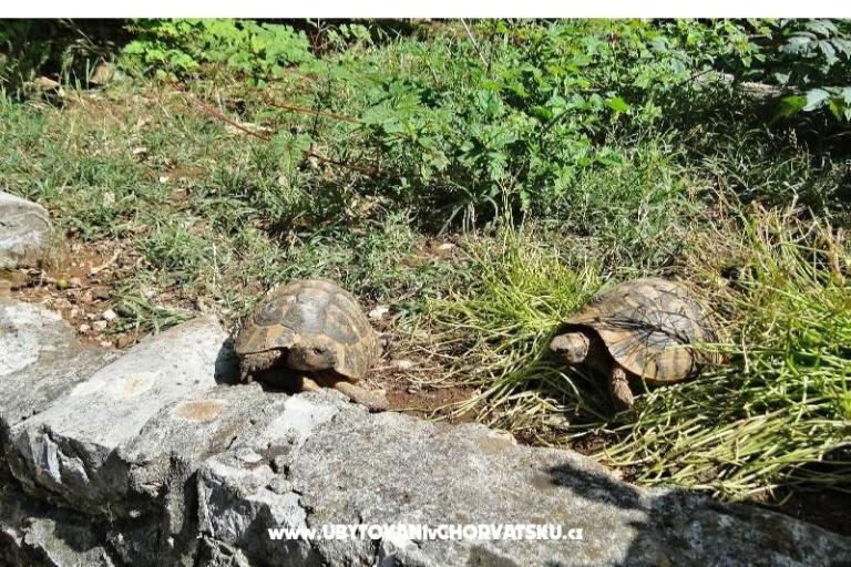 Appartamento Tedo – foto 17