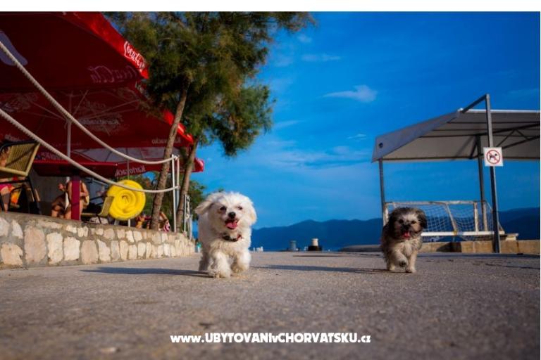 AG Komarna | Pelješac B. Appartamenti – foto 5