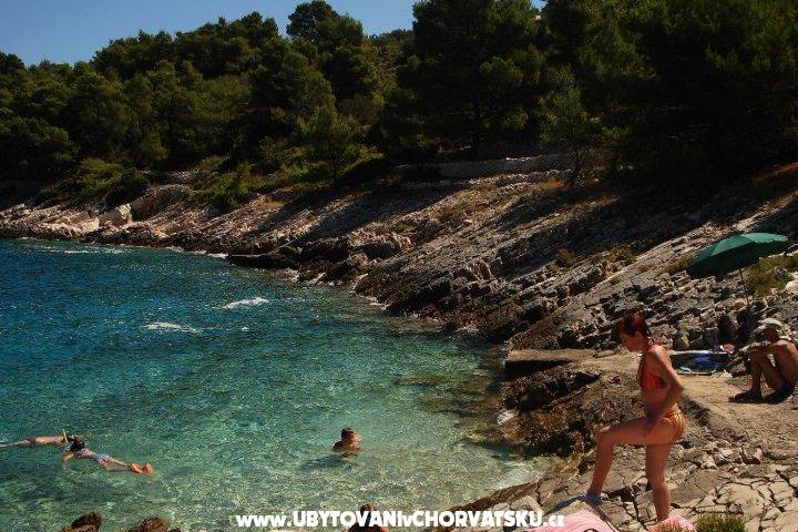 Appartamento Kaurloto – foto 6