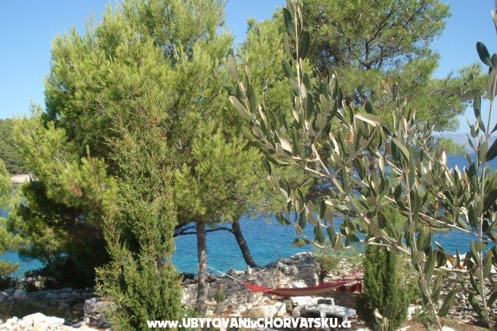 Appartamento Kaurloto – foto 8