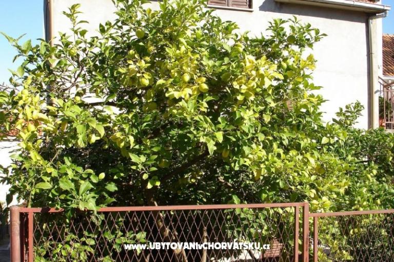 Appartamenti Ankica – foto 4