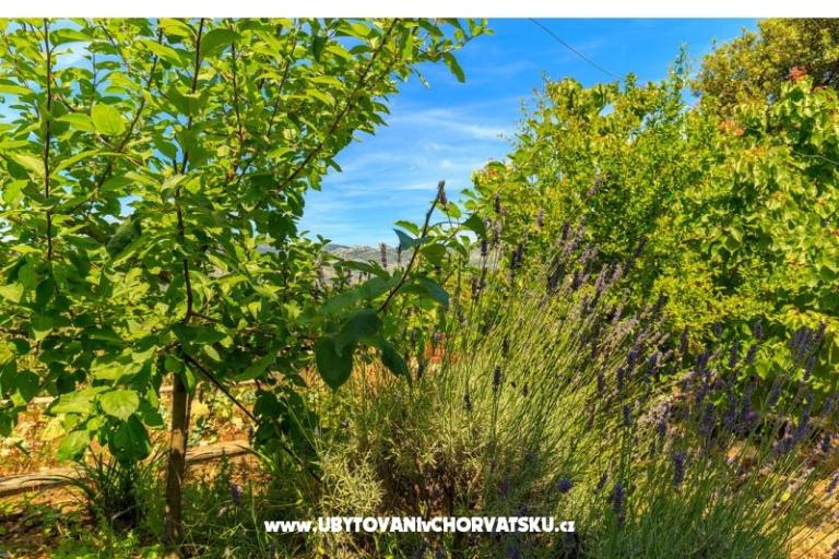 Appartamenti Kastelan – foto 6