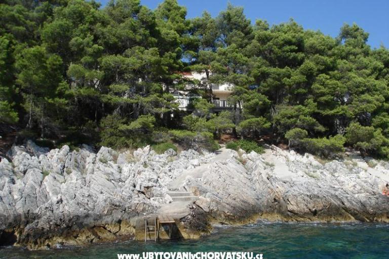 Appartamenti Tomasic – foto 8