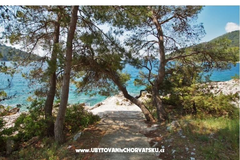 Appartamenti Marica P. – foto 6