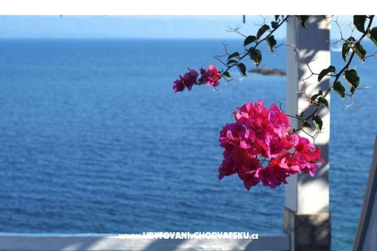Case vacanza Dorjan – foto 6