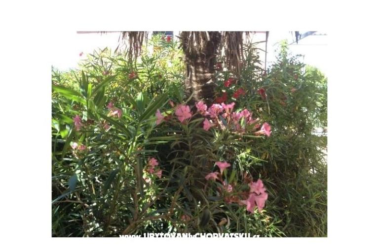 Appartamento Iris – foto 12
