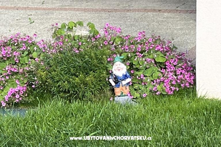 Appartamenti Fanuko – foto 22