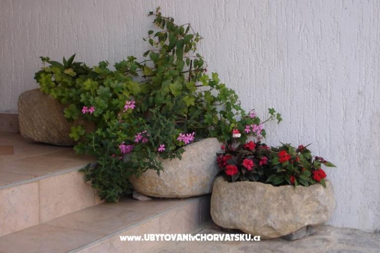 Appartamenti Grzalja-Rozic Krk – foto 14