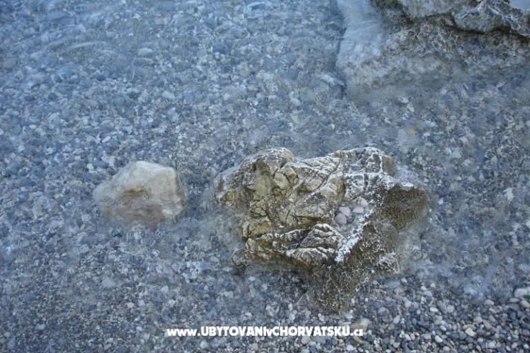 Appartamenti Grzalja-Rozic Krk – foto 16