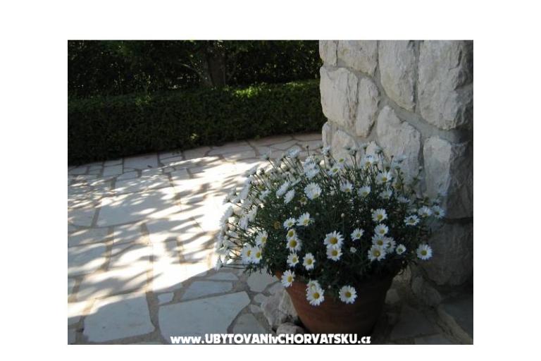 Appartamenti Iva&amp;Ivan – foto 7