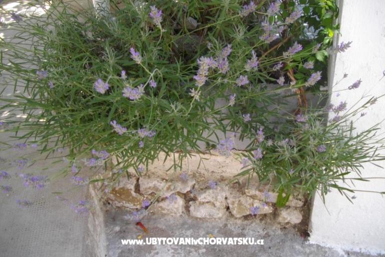 Appartamenti Kinkela – foto 12