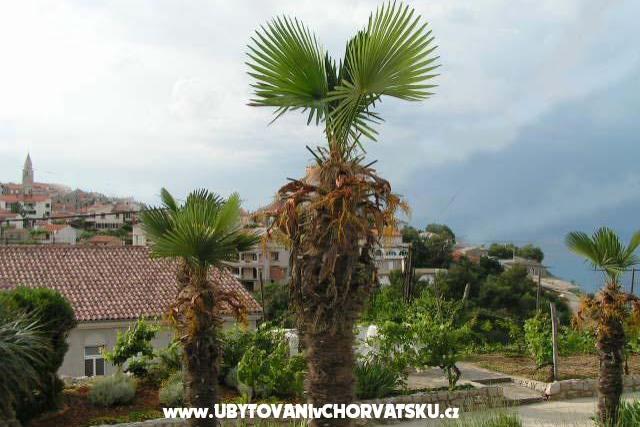 Appartamenti Maja – foto 6