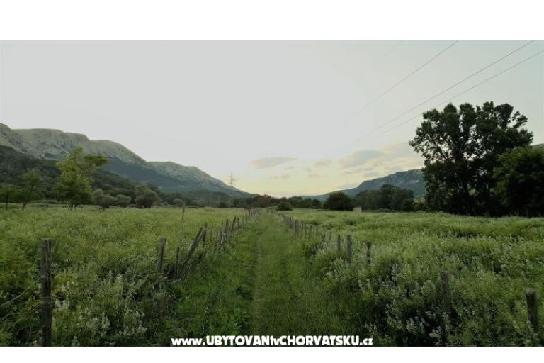Appartamento Petra  – foto 12