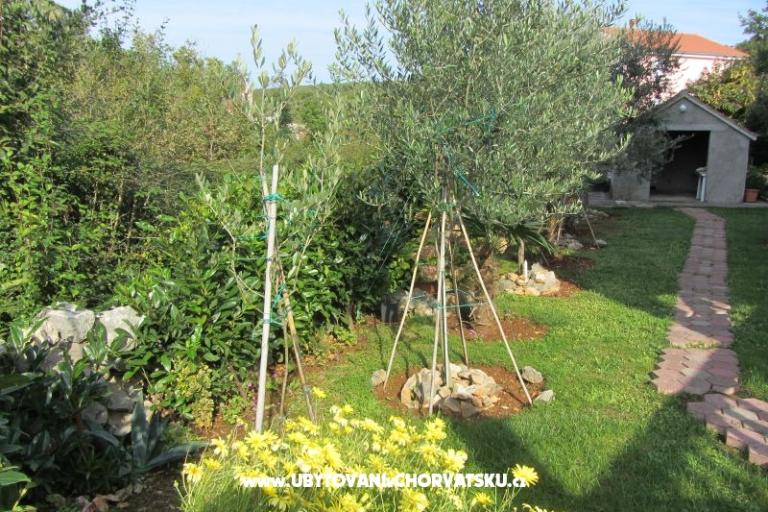 Appartamenti Perišić – foto 16