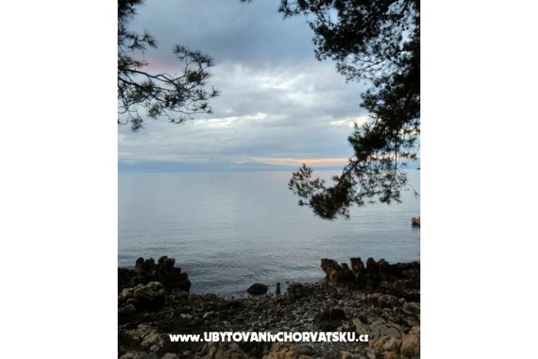 Appartamenti Topol – foto 15