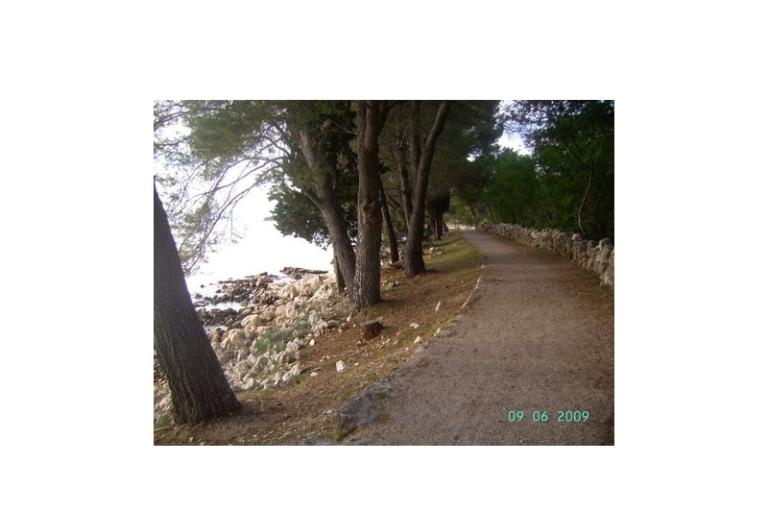 Appartamenti Topol – foto 16