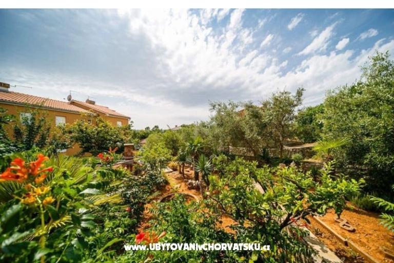 Appartamenti Božena – foto 18