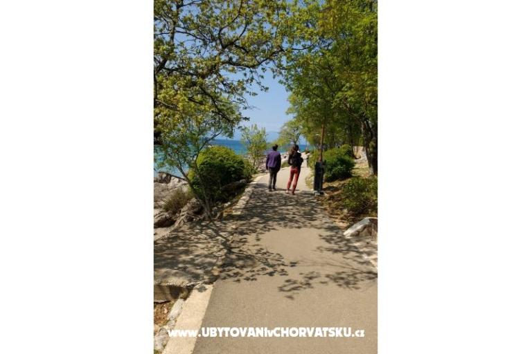 Appartamento Elis – foto 13