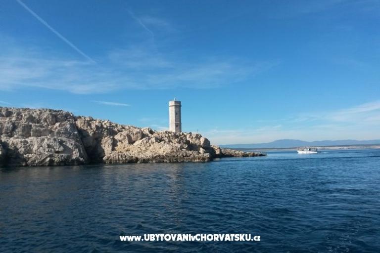 Appartamenti Vila Maslina – foto 16
