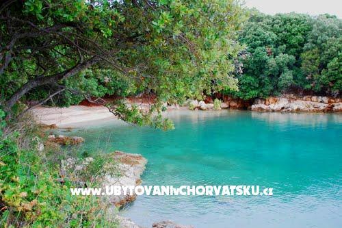 Appartamento Mihael + free boat trip – foto 13