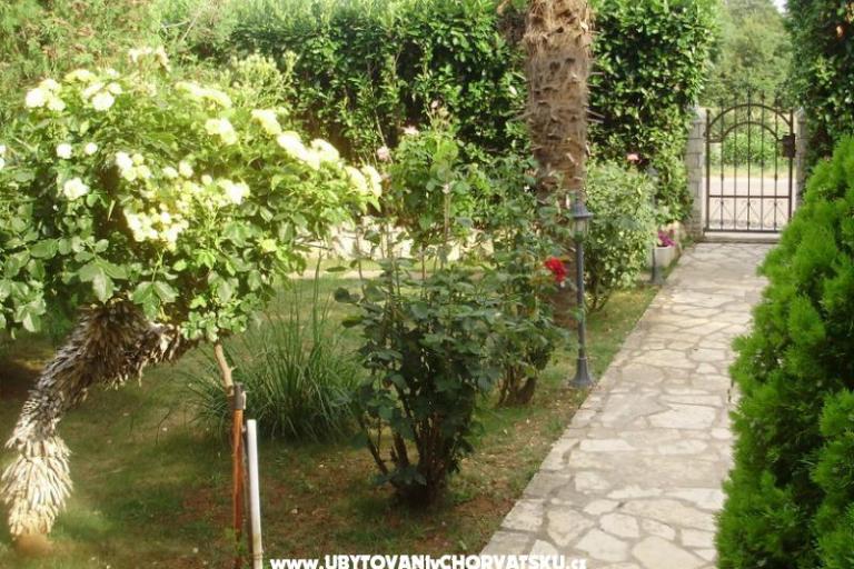 Appartamento Mihael + free boat trip – foto 16