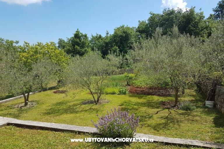 Appartamenti Mariela – foto 4