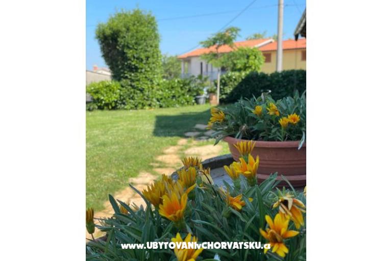 Case vacanza Bepina – foto 21
