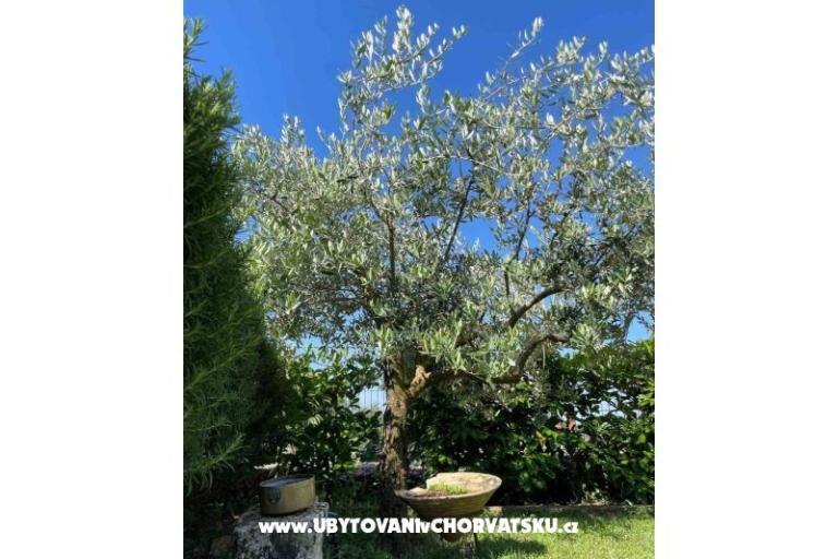 Case vacanza Bepina – foto 23