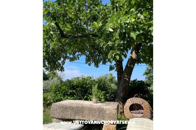 Case vacanza Bepina – foto 24