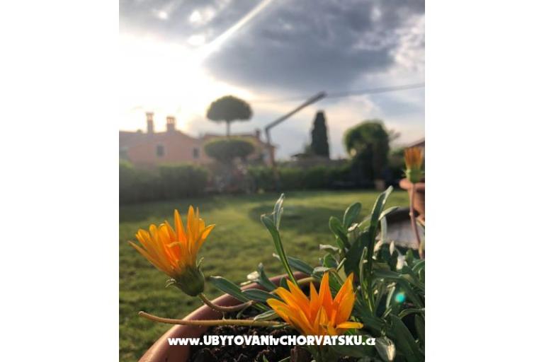 Case vacanza Bepina – foto 29
