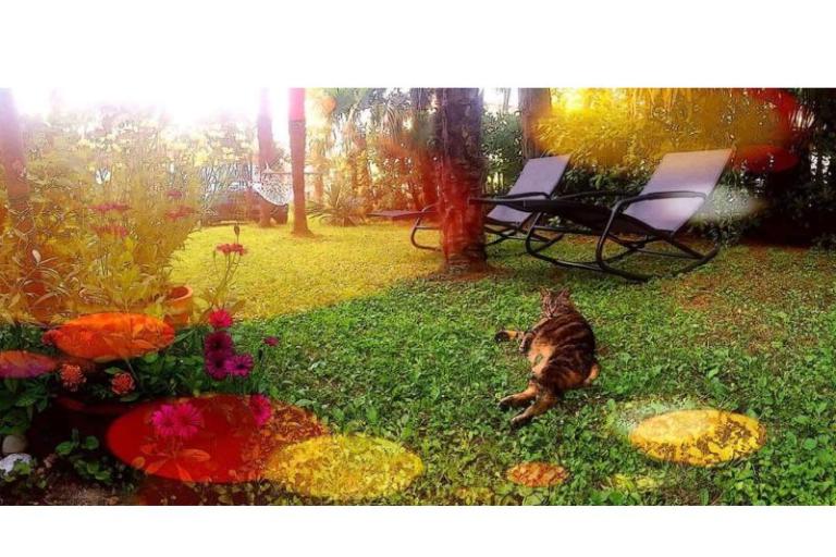 Appartamenti Villa Adelina – foto 15
