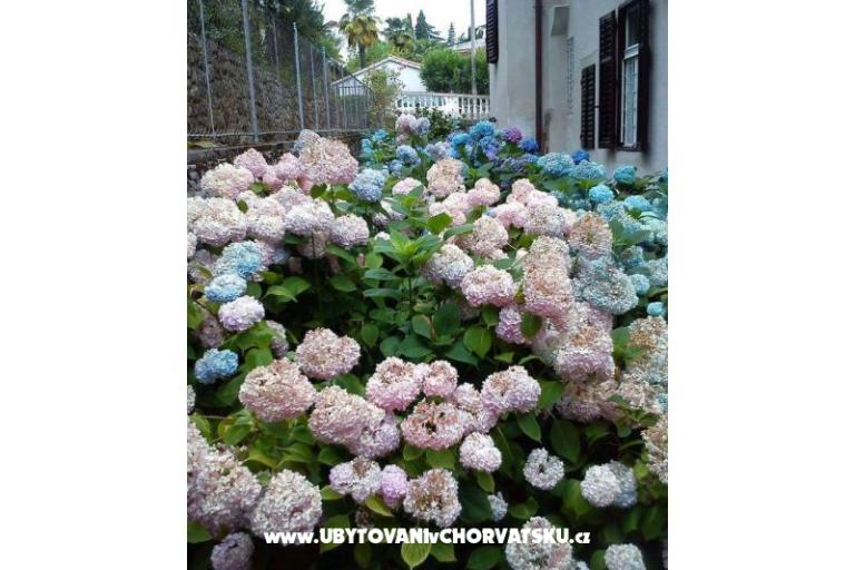 Appartamenti Villa Adelina – foto 18