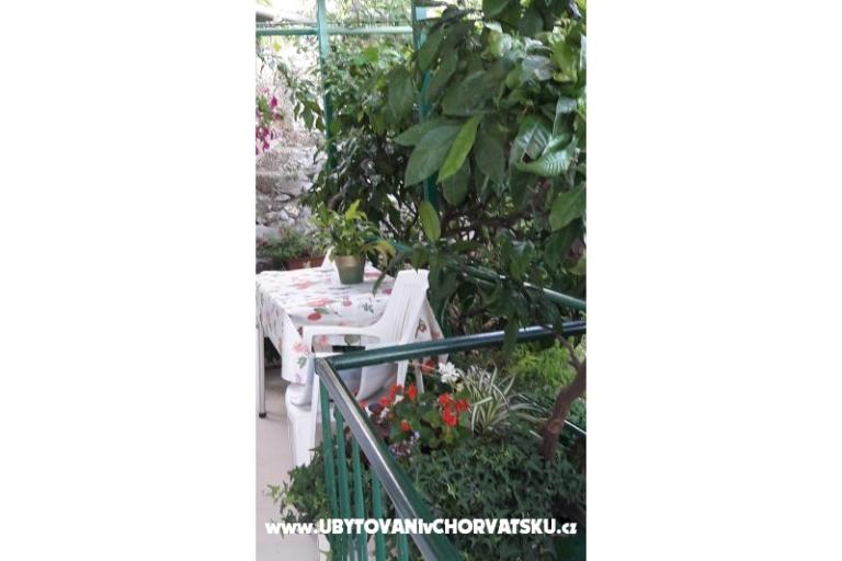 Appartamento Olga – foto 11