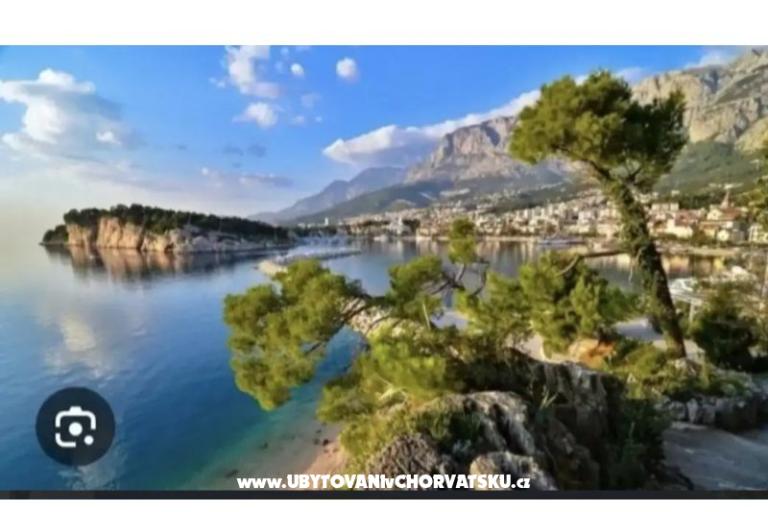 Appartamento Robert – foto 34
