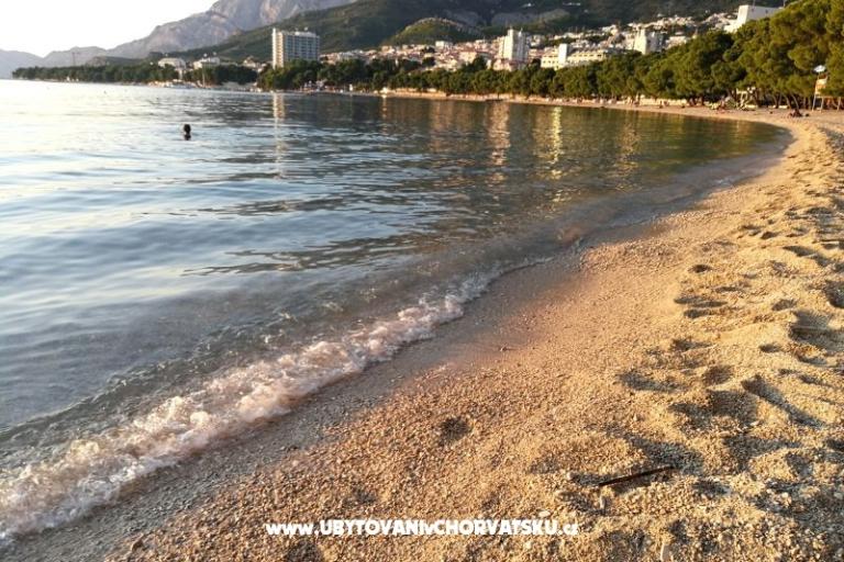 Familia City Center Appartamenti – foto 16