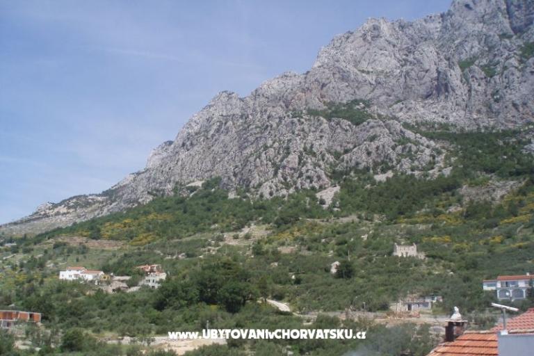 Appartamenti Mileta – foto 18
