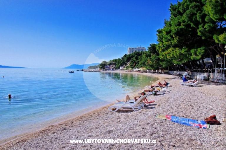 Appartamenti Neva plaža – foto 6