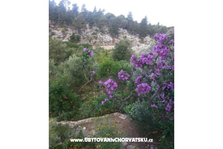 Appartamenti Rubinić – foto 15