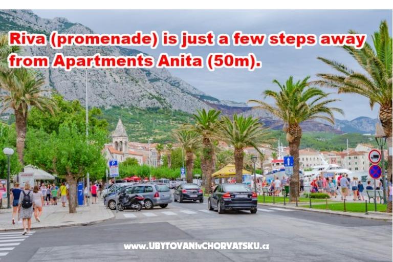 Appartamenti Anita - Center – foto 17