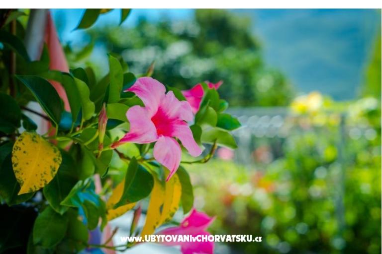 Appartamento Hrvoje – foto 12