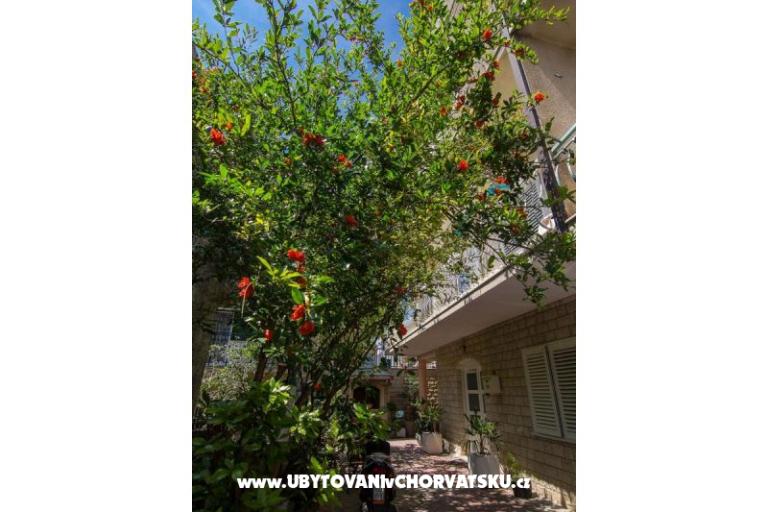 Appartamenti A&B – foto 16