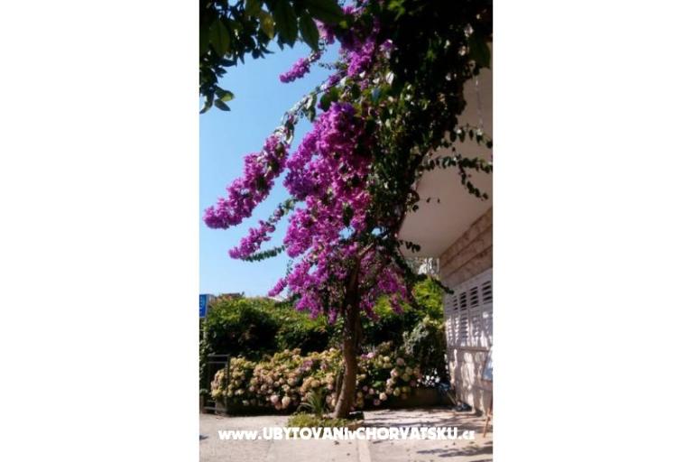 Appartamenti Jele – foto 2