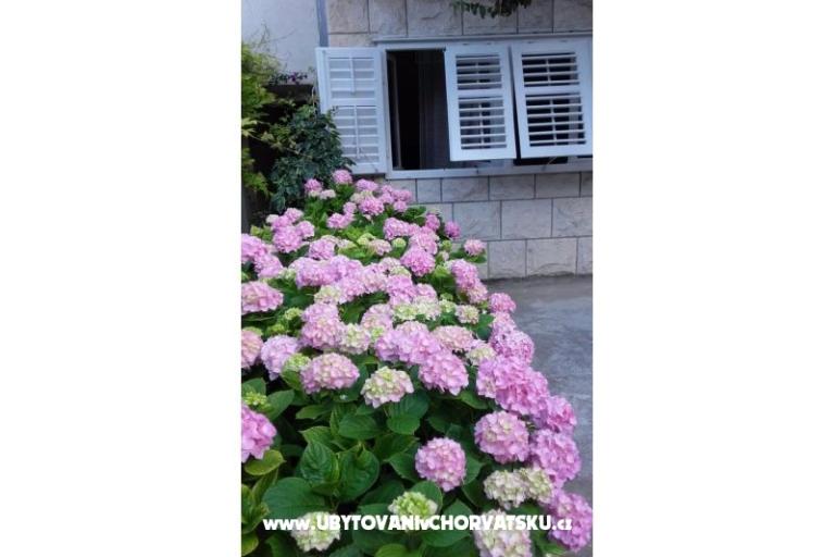 Appartamenti Jele – foto 7
