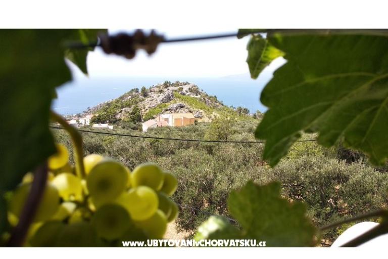 Appartamento Veliko Brdo – foto 13