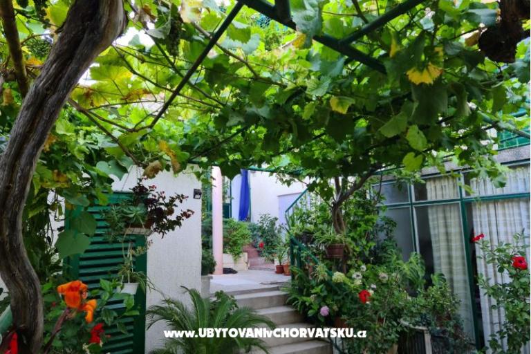 Appartamenti Vinea – foto 2