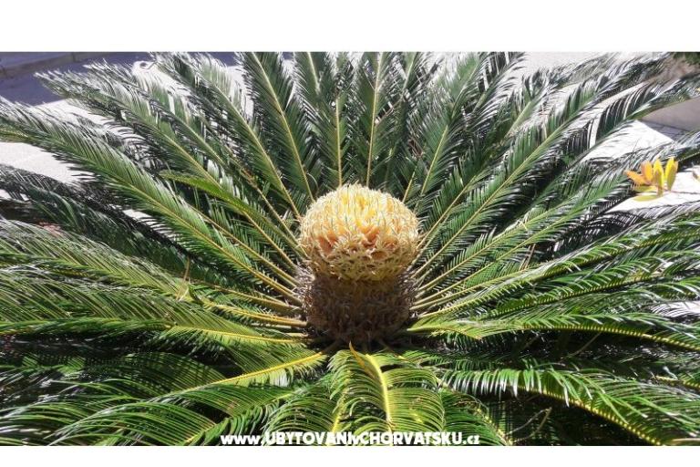 Appartamenti Ola – foto 15