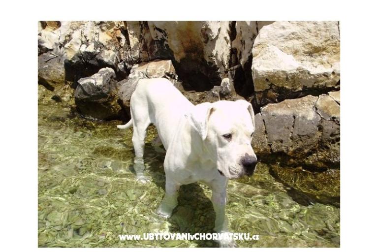 Appartamento Miro – foto 14