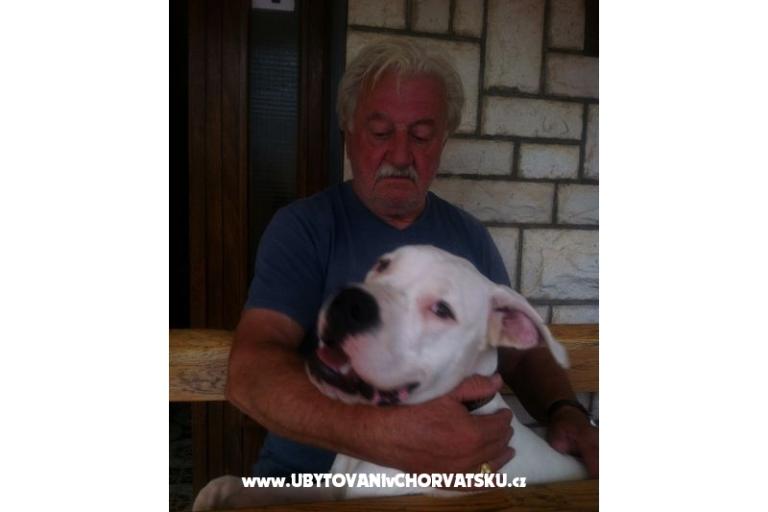 Appartamento Miro – foto 15